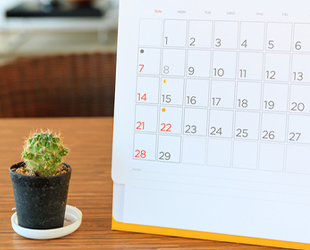 今後の施術計画・普段の生活でのアドバイス